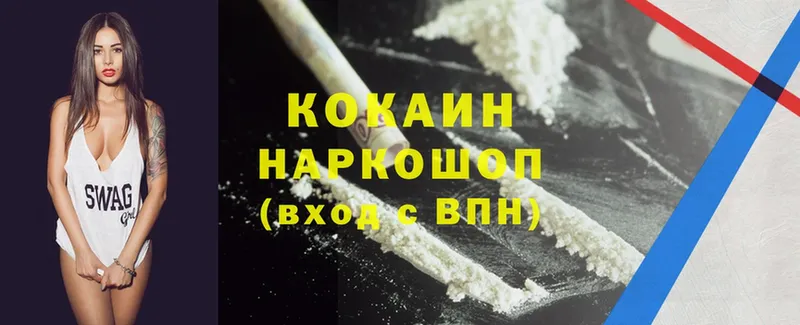 hydra   где продают наркотики  Ленск  Cocaine Fish Scale 